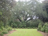 Wavering Place 1